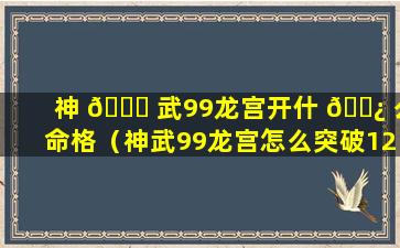 神 🐕 武99龙宫开什 🌿 么命格（神武99龙宫怎么突破1200灵力）